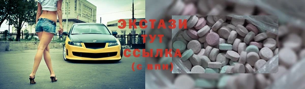 амф Гусев