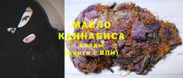 амф Гусев