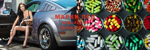 амф Гусев