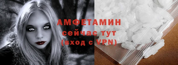 амф Гусев