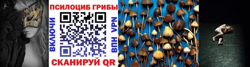 Псилоцибиновые грибы мухоморы  наркошоп  omg вход  Петухово 