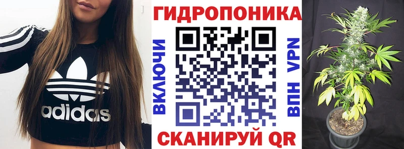 купить наркотики сайты  Петухово  Бошки Шишки план 